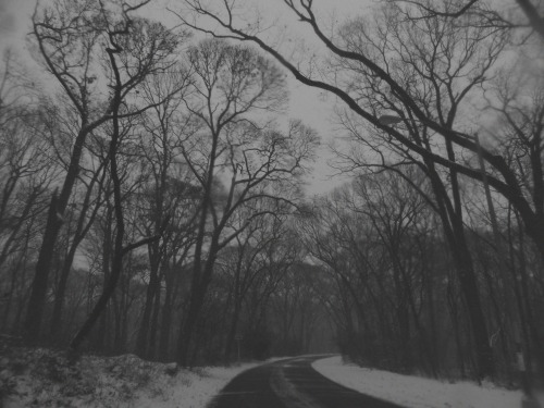 thefunerarydirgeofaviolinist:  By the Funerary Dirge of a ViolinistRemove the photo credit and so help me I will hunt you down, remove your organs, and sell them on the black market. 