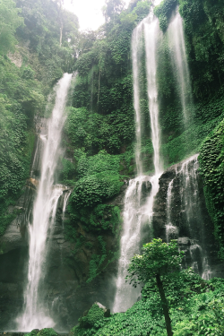expressions-of-nature:  Bali by Howa 