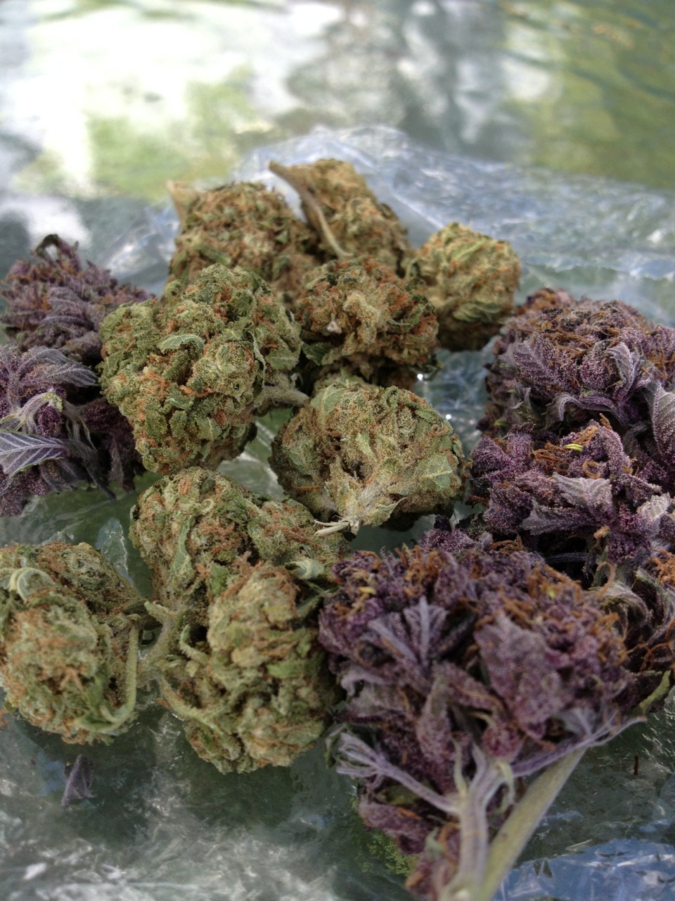 victoriaaaparisss:  Smoke with me (; 