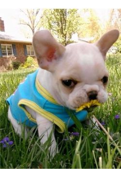 doubelievengod:  awwww-cute:  Stop and smell the flowers  *smooch* 