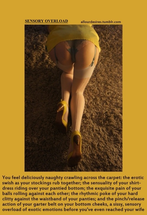 Sensory Overload  (an allourdesires Adult Stories &amp; Poetry resource)