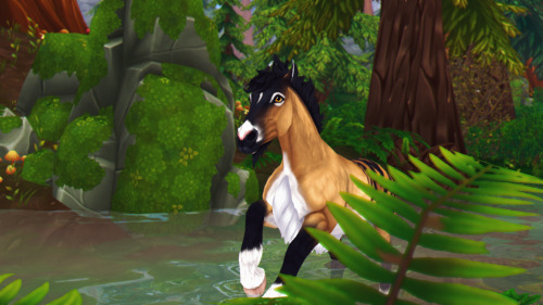 star stable