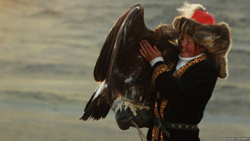 (via BBC News - A 13-year-old eagle huntress in Mongolia)