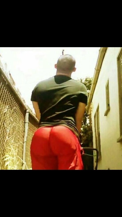 yourbigblackguy:  Now that some hoy fucking shit