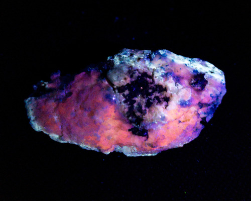 Afghanite partially replaced by Lapis Lazuli displaying fluorescenceLocality: Ladjuar Madan, Ko