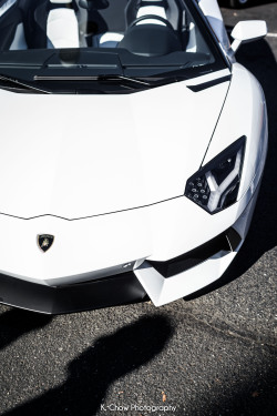 kchow510:  Aventador Roadster 