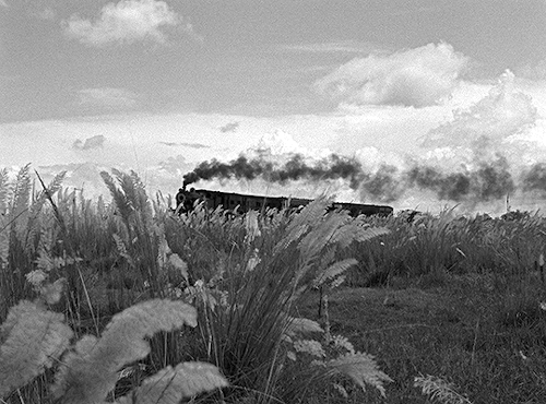 bookstofilms:   —   You know where the tracks are? Where?    —  Past the big meadow and beyond the rice fields.  —  Shall we go one day? পথের পাঁচালী  Pather Panchali (1955) dir. Satyajit Rayadapted from Bibhutibhushan Bandyopadhyay’s