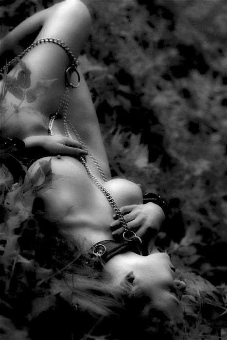 The musings of a Dom.