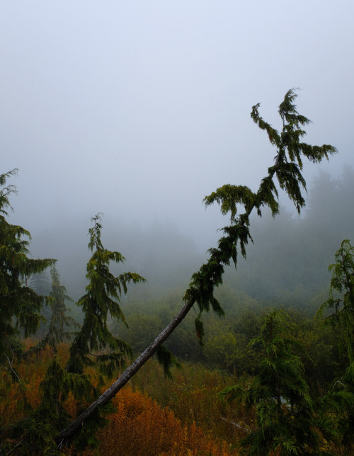 ariweinklephotography: Lake of Angels via Putvin Trail