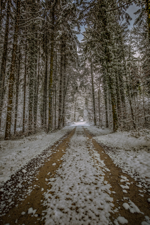 john-noe:Heavenly Gates