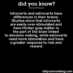 did-you-kno:  Introverts and extroverts have differences in their brains. Studies show that introverts are easily over-stimulated and have thicker gray matter in the part of the brain linked to decision making, while extroverts need more stimulation and