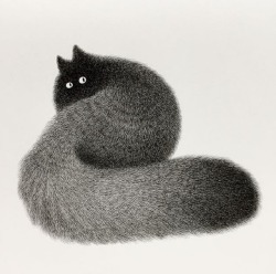 artisticmoods:    A selection of very, very fluffy cats by Kamwei Fong, shared on the blog today: http://www.artisticmoods.com/kamwei-fong/   