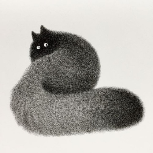 artisticmoods:A selection of very, very fluffy cats by Kamwei Fong, shared on the blog today: