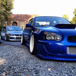 fuckyeahhellaflush:   