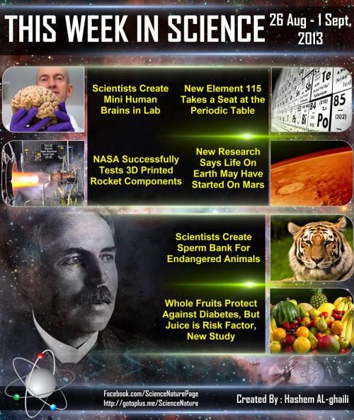 nathansummers: atomstargazer: Science Summary of The Week ➤ New Element: is.gd/JlIHpI ➤ Mini 