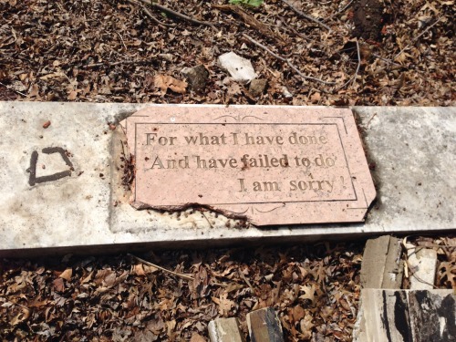 aphrohdites: fox-party: We found this in an abandoned parking lot today this breaks my heart a li