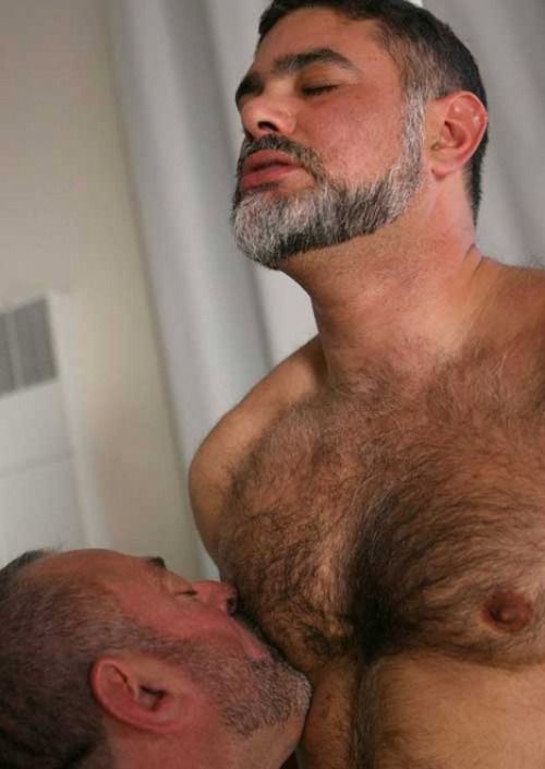 Joetowncub's Daddy bears, chubs and cubs