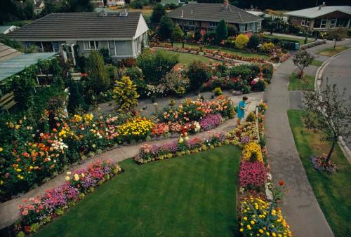 natgeofound:An elevated view of the private gardens in Christchurch, New Zealand, January 1972.Photograph by James L. Amos, National Geographic