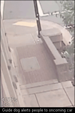For animated GIFs