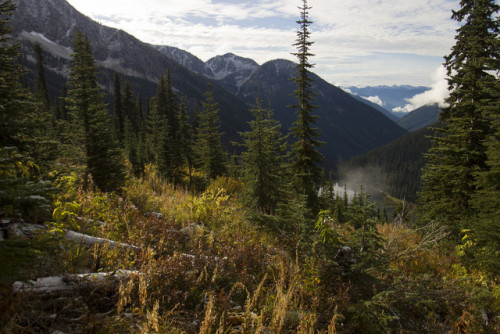 Kaslo Lake trail by Jérémy RONDAN