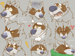 zeeriously:  If I were a raccoon for a day… Technically, that day was today. ; u ;