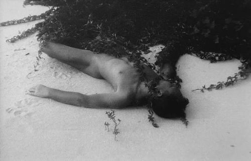 asalvadorsala:Jared French, Fire Island, 1942 #PaJaMahttps://www.instagram.com/p/CUe0p8HgkuS/?utm_medium=tumblr