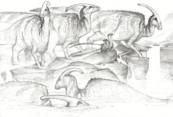 fuckyeahdinoart:  Parasauroloph by Mr–Jack