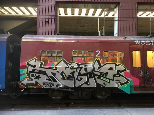 #belgiumgraffiti #paintedtrains #traingraffiti #graffititrain #benching #trainbombing #trainart #rai