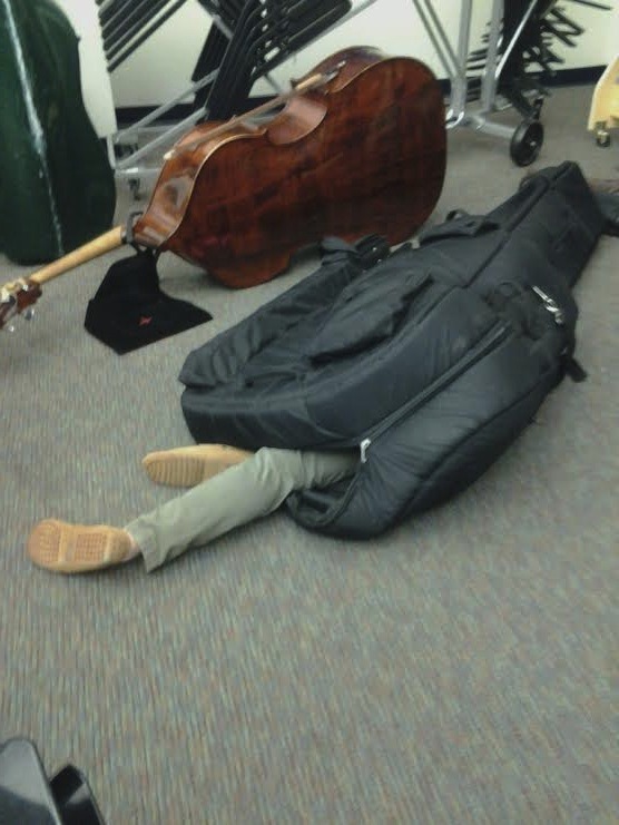 lucy-cat: here we see a wild bass player in it’s natural habitat, sleeping soundly