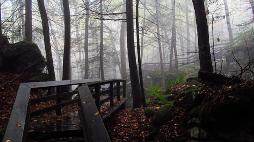 Beartown State Park by Force Majeure Studios on Flickr.