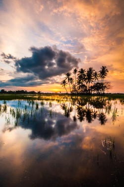 l0stship:  ujung pulau {by firdaus exia}