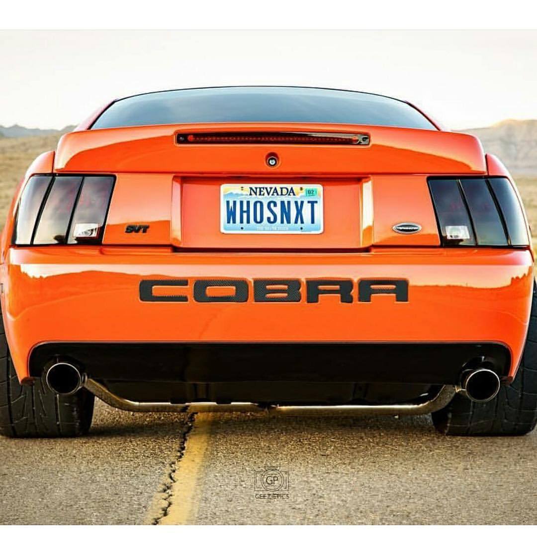 musclefords:  #ford#Mustang#SVT tag–&gt; #American_muscle_mustangs / via #mustangpassion