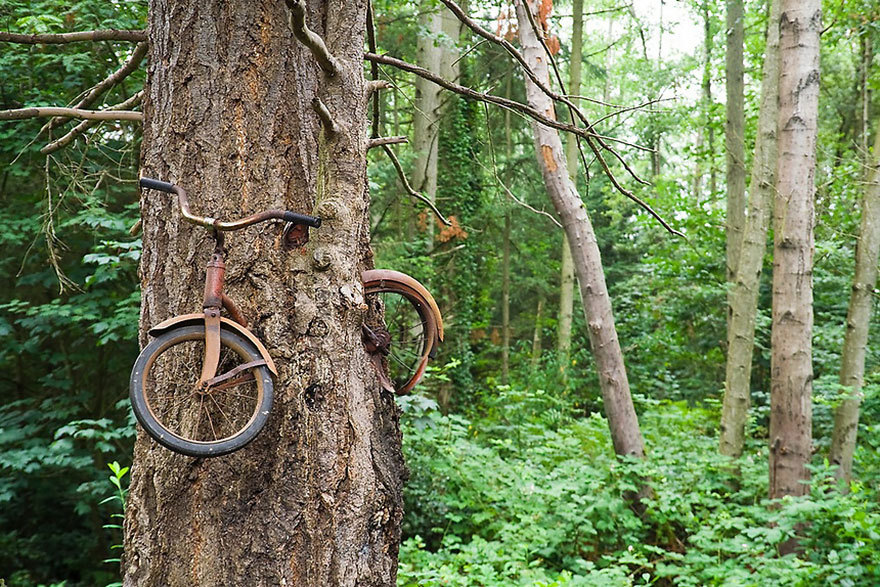 21 Stunning Photographs Of Nature Battling Civilization