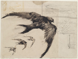 art-mysecondname:  Vincent van Gogh - Four Swifts with Landscape Sketches