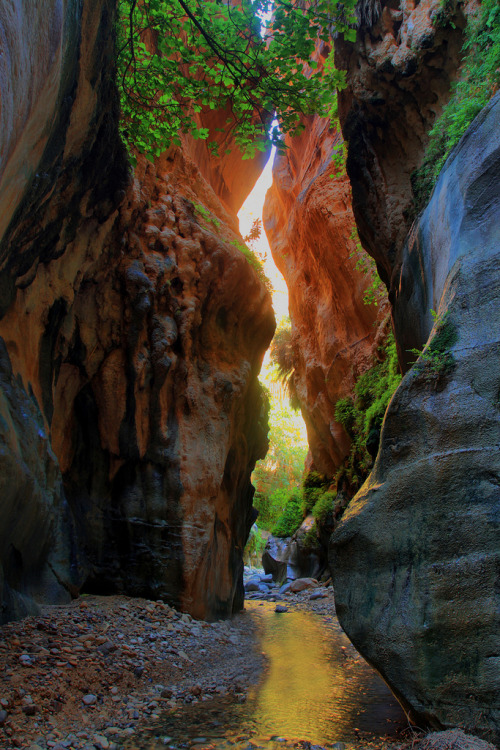 Wadi Ghuweir / Jordan (by AYMAN SADEQ).