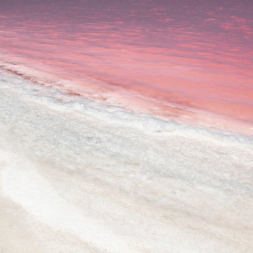 studiovq: Pink lakes filled with salt. The pink hue is due to red-colored algae, plankton and brine 