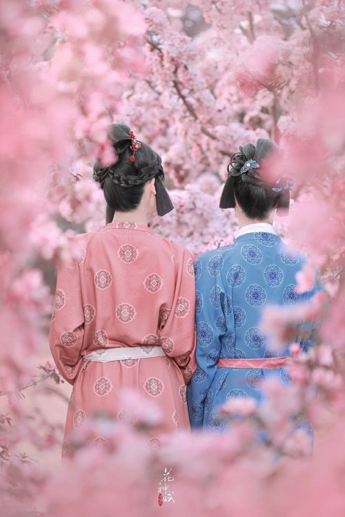 dressesofchina: photographer:摄影师蝈蝈小姐 Traditional Chinese Hanfu.