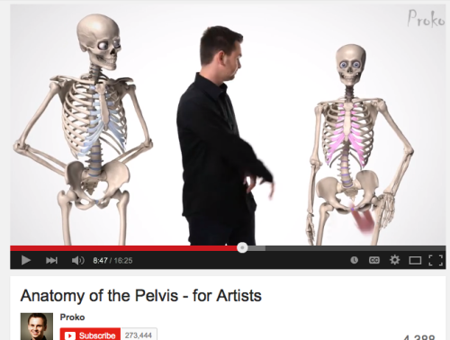 quaking-grass:  natashabeepbeepromanoff:  jrdndryr:  pencil-town:  fairylightsniall:  poledancingcrowley:  fucking-fuck-imma-duck:  fugdamatriarchy:  jetpack-johnny:creepyfantasies:i…i just got linked to an anatomy video for the pelvis and the teacher