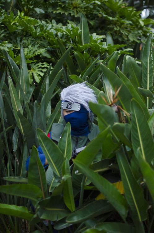 From a Kakashi shoot I did with a client at AX2017 