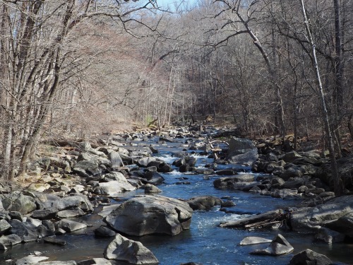 Rock Creek Park, Washington DCWalking with Hannah