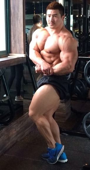 muscle lover