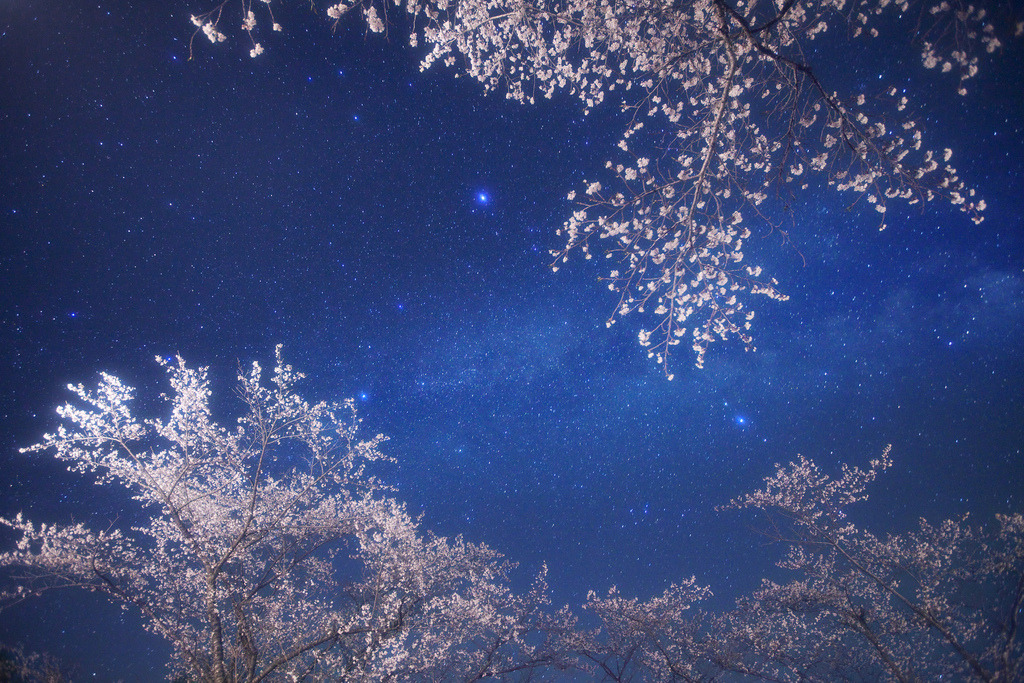 quiet-nymph:Photography  by masahiro miyasaka on Flickr