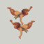 jay-jaybird