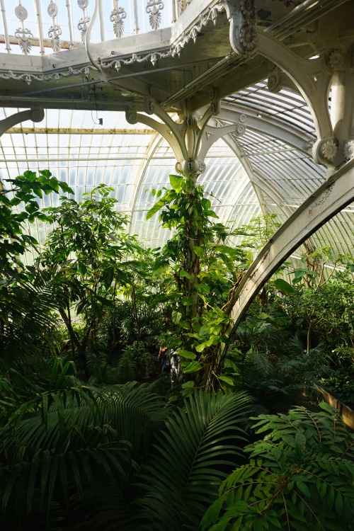 charlottetannerl6:Kew Gardens.