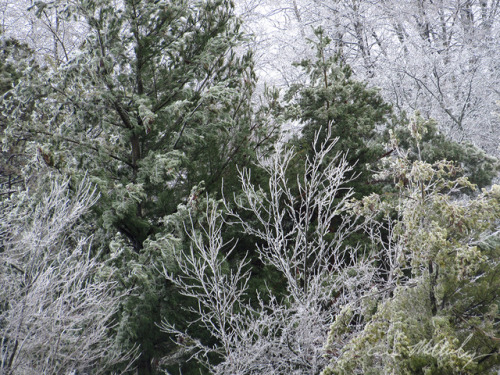 Ice Storm 04/15/2018