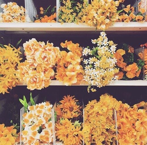 sunnytravler: “The earth laughs in flowers.” -R. W. Emerson