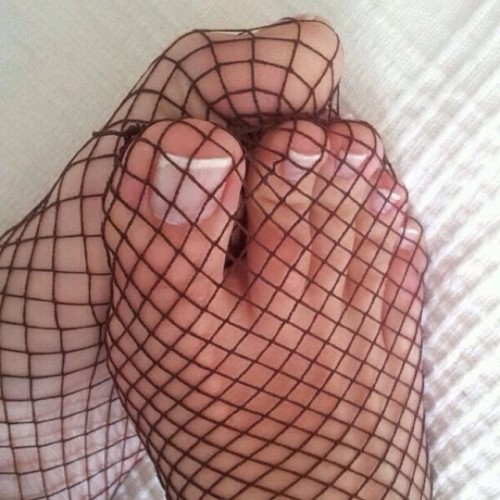 dan-in-black:  kimberlylohanlegs:  Fishnet.. 😍😘 #sosoleful #footfetish #feetfetish #follow #feetporn #footporn #footmodel #fishnet #footgoddess #footfetishnation #softfeet #sexyfeet #pés #pezinhos #pies #toes #instafeet #girlsfeet #girlfeet #cutefeet