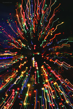 telescopical:  Firework Christmas tree light art part threeclick here to view more of my photos. 