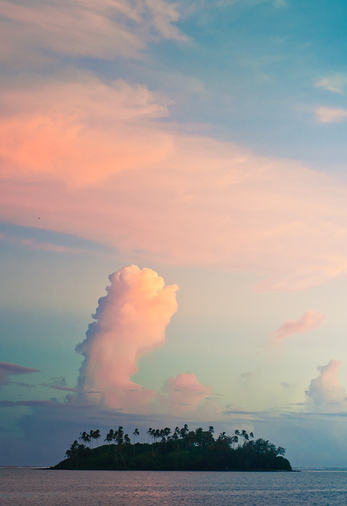 Something beautiful today. Mentally retreat to your own secluded island, relax and
