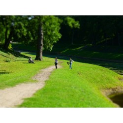 The Grand #Palace at #Gatchina (#Imperial palace) #Russia #travel   *  Shadows &amp; sunrays. Palace park near The Carp pond  http://gatchinapalace.ru/en/park/attractions/  http://www.saint-petersburg.com/gatchina/grand-palace.asp  @gatchinapalace_museum